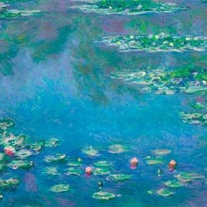 Meet your Posher, Miranda